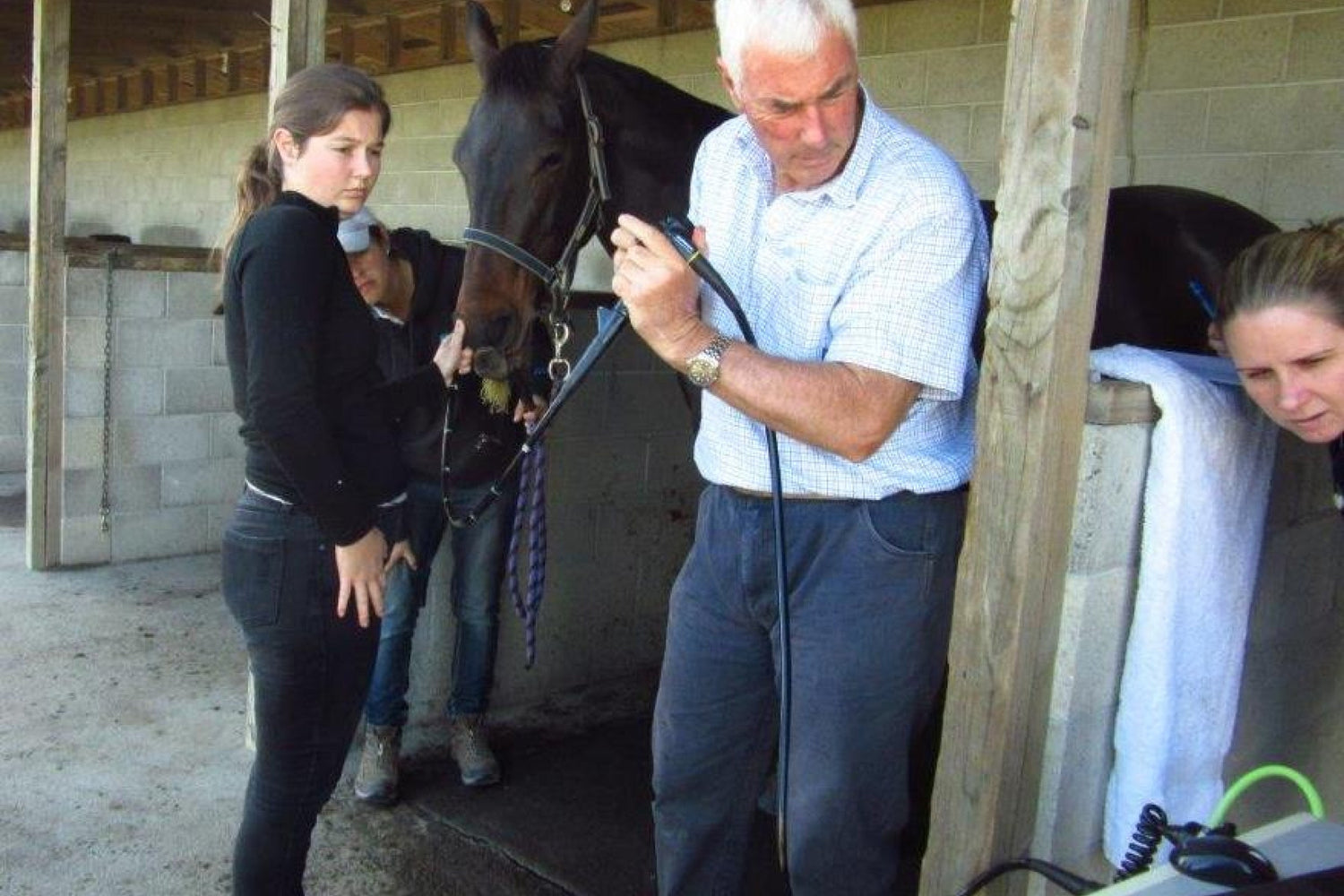 The Impact of red marine algae on gastric ulcers